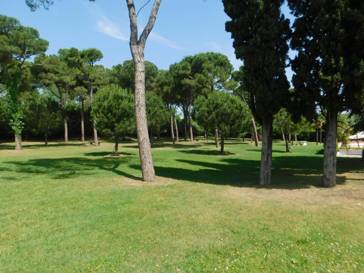 Lato Soleggiato @Gardazzurro Padenghe sul Garda Exterior foto